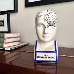Phrenology Ceramic Bust, Phrenology Head, Crackle Glazed, Gloss Finish, Psychology Student Gift, 7 1/4&quot; Tall
