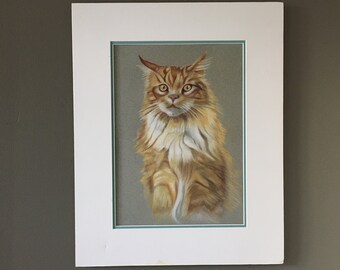 Origineel pastelportret van een oranje gestreepte kat, door J.H. CAMERON, langharige oranje gestreepte kat, gemberkatportret.