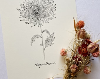 8x10 Chrysanthemum Print