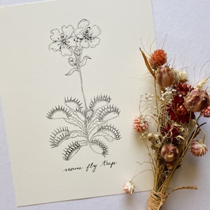 8x10 Venus Fly Trap Print