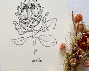 8x10 Protea Print