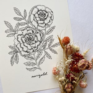 8x10 Marigold Print