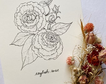 8x10 English Rose Print