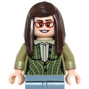 Big bang theory minifigures sales