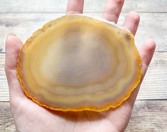 Natural Agate Slice - Natural Earth Tone Mineral Specimen Rocks and Crystals - Agate Slice Supply Natural Geode Slice