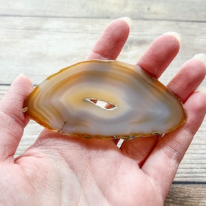 Natural Agate Slice - Natural Earth Tone Mineral Specimen Rocks and Crystals - Agate Slice Supply Natural Geode Slice
