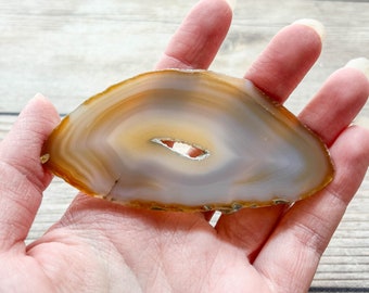 Natural Agate Slice - Natural Earth Tone Mineral Specimen Rocks and Crystals - Agate Slice Supply Natural Geode Slice