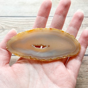 Natural Agate Slice - Natural Earth Tone Mineral Specimen Rocks and Crystals - Agate Slice Supply Natural Geode Slice