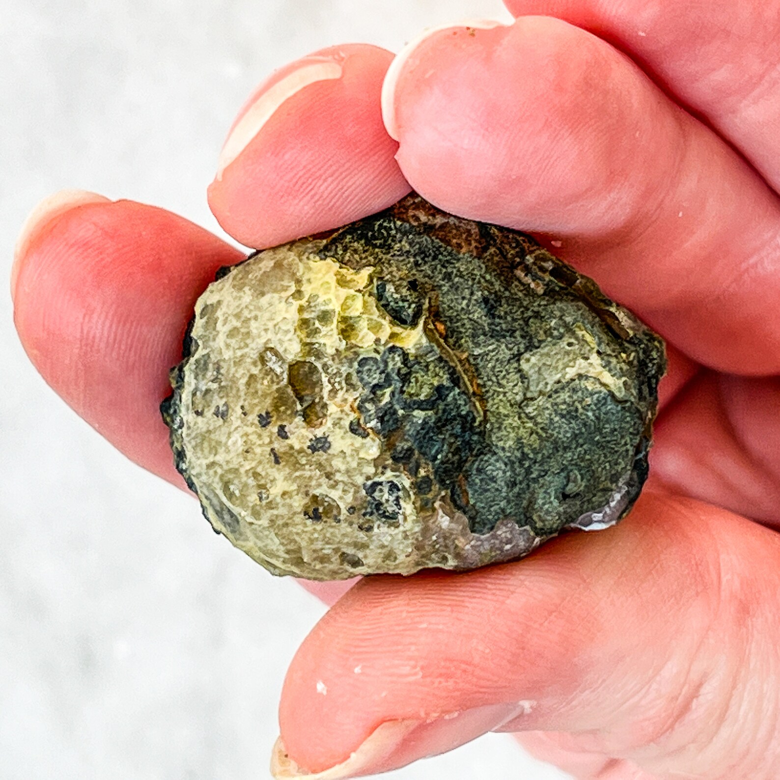 Tabasco Geode Pairs Mini Geode Tiny Colorful Crystals Etsy