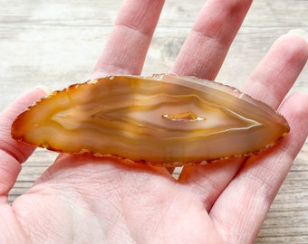 Natural Agate Slice - Natural Earth Tone Mineral Specimen Rocks and Crystals - Agate Slice Supply Natural Geode Slice