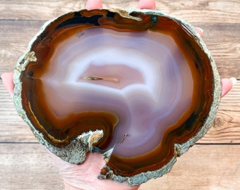 Extra Large Natural Agate Geode Slice - Gray Brown Tan Mineral Specimen Rocks and Crystals Agate Art for Frame Home Decor