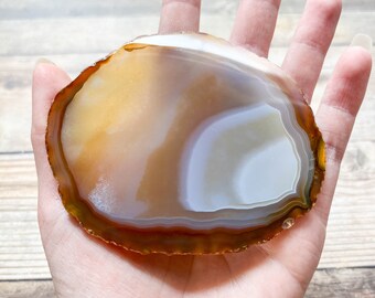 Natural Agate Slice - Natural Earth Tone Mineral Specimen Rocks and Crystals - Agate Slice Supply Natural Geode Slice