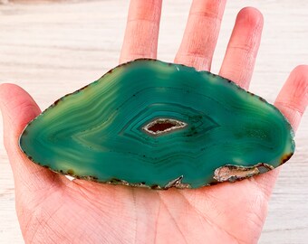Green Agate Slice - Geode Slice with Druzy Crystal Center - Dyed Mineral Specimen - Rocks and Crystals Home Decor Craft