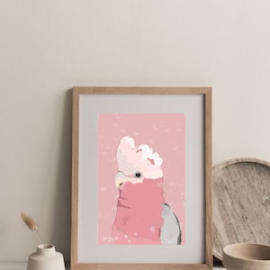 Galah art print