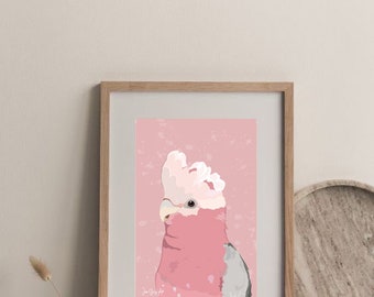 Galah art print