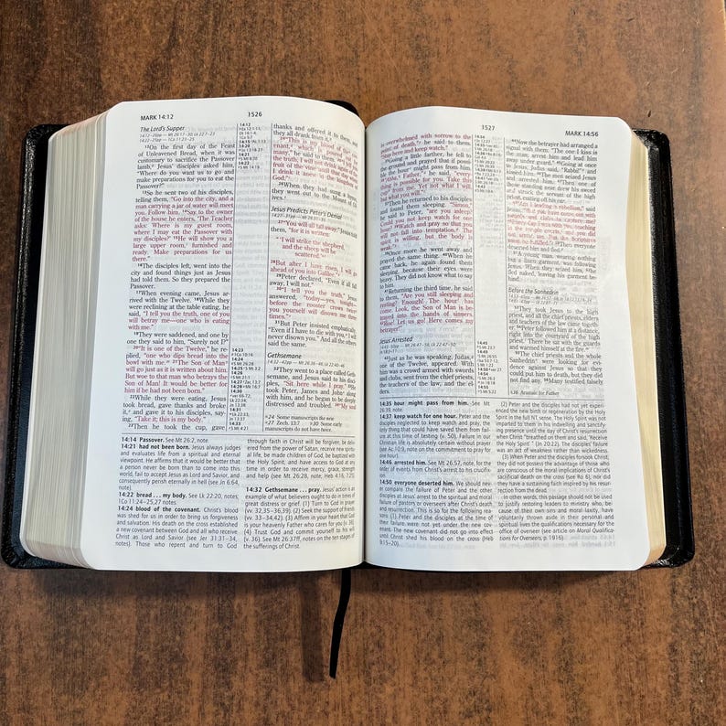 NIV 1984 Life in the Spirit Study Bible - Black Bonded Leather ...