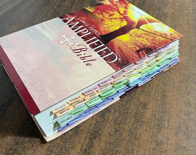Amplified Classic 1987 Large Print Bible - Hardcover - out of print AMPC - 12 pt font - USA Printed in United States of America