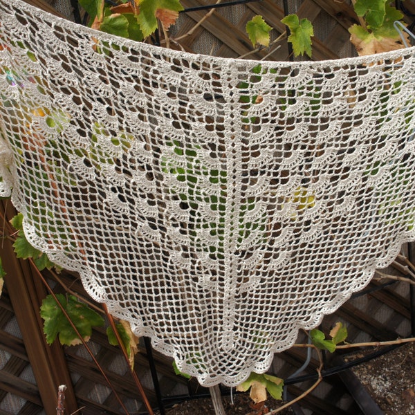 Fan and Mesh Shawl