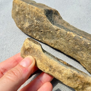 Prehistoric Stone Tools  Ancient Archaic Axe Southeastern USA