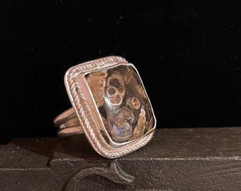 Earthy Turritella Fossil Agate and sterling silver split shank ring