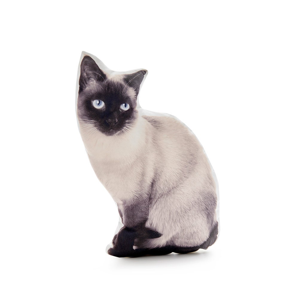 Siamese Cat Cat Pillow Cat Cushion Black Decor Beige Etsy
