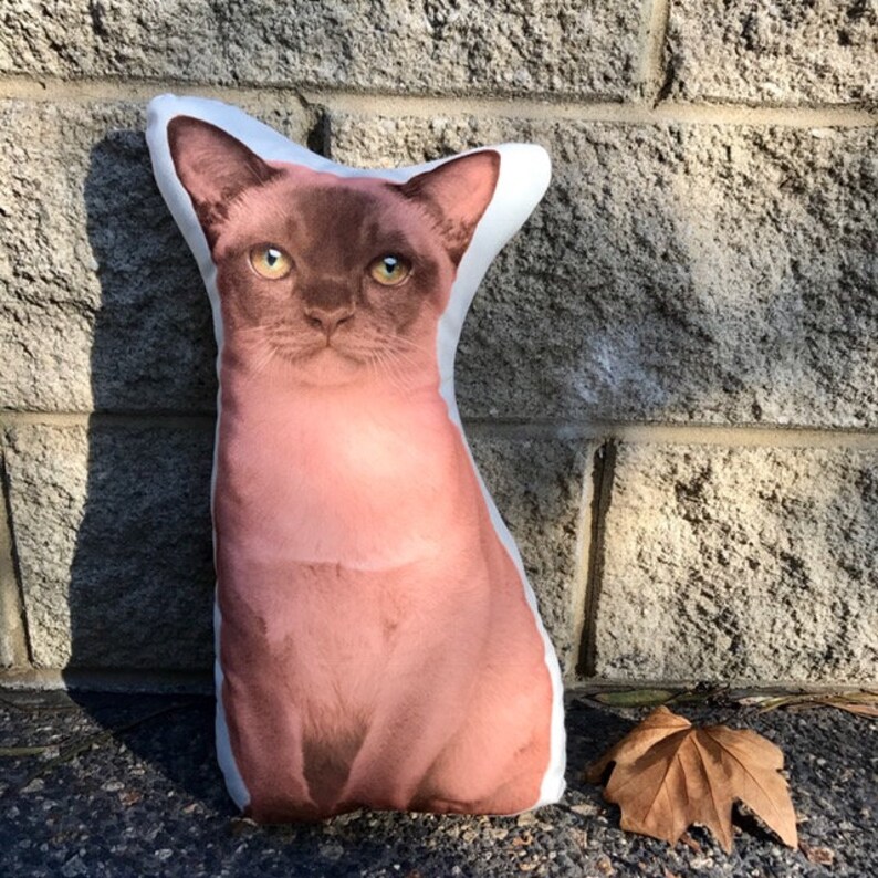 Burmese Cat Jumbo Stuffed Animals Cat Shaped Body Pillow Pet Etsy