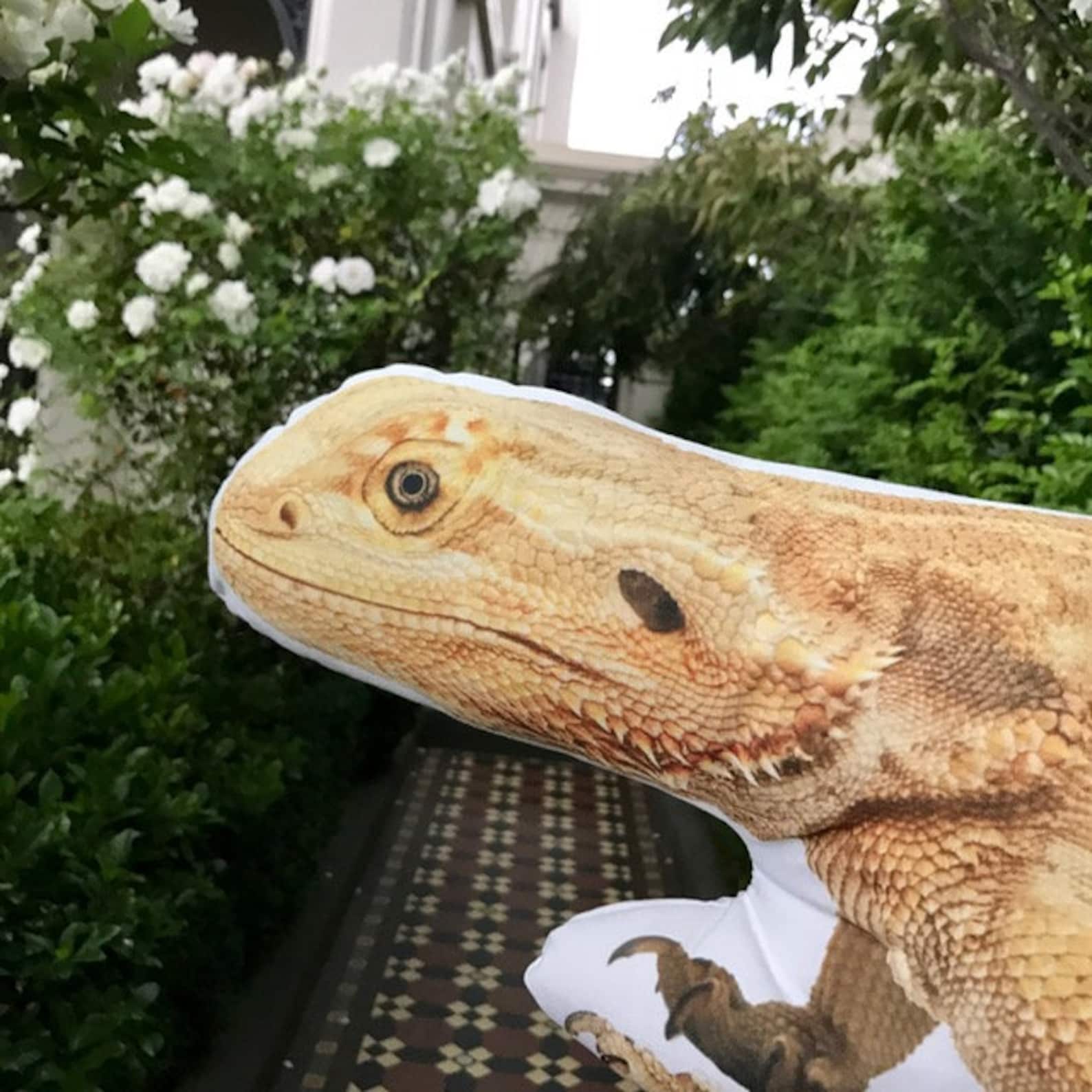 Bearded Dragon Reptile Gifts For Him Boys Birthday Lizard Etsy