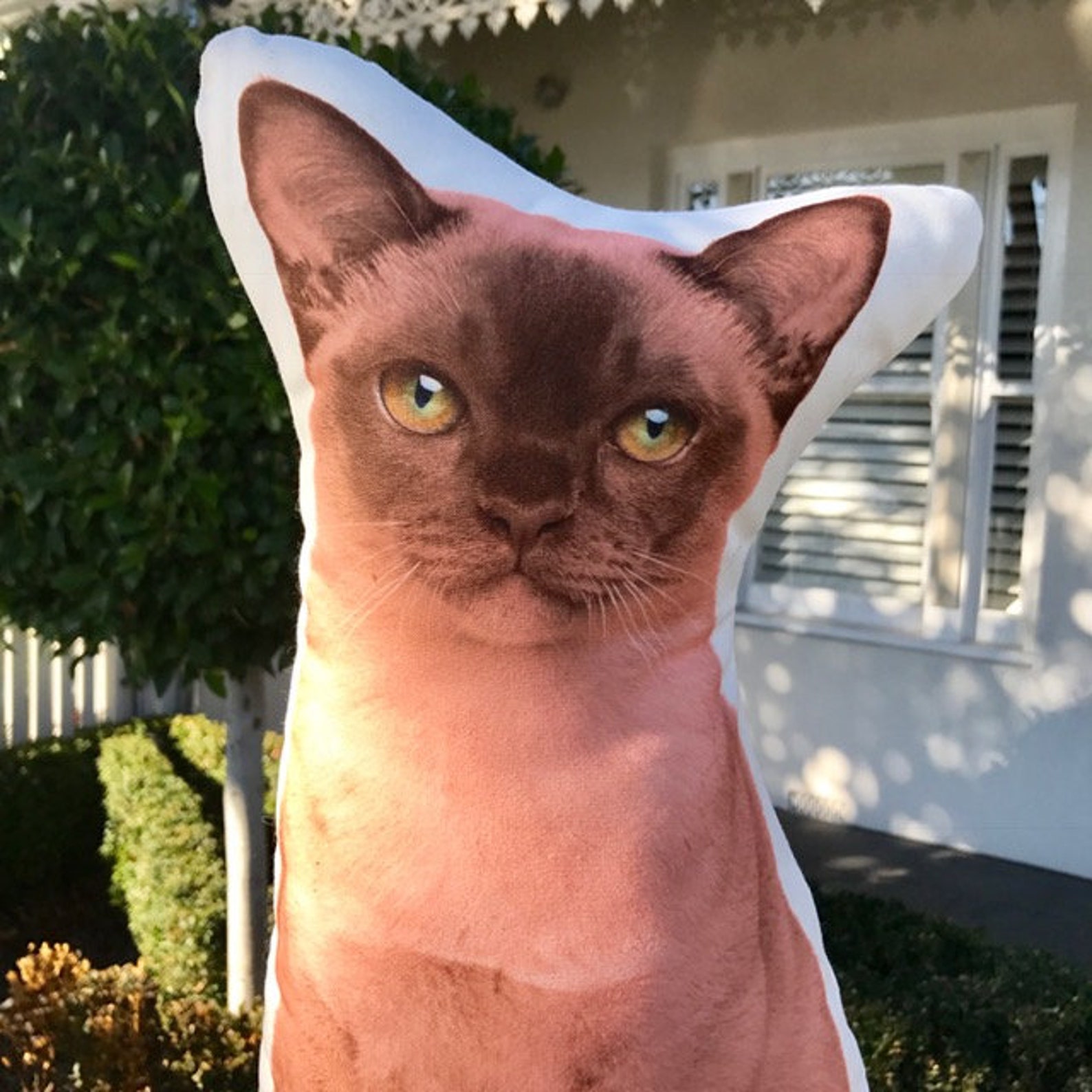 Burmese Cat Jumbo Stuffed Animals Cat Shaped Body Pillow Pet Etsy