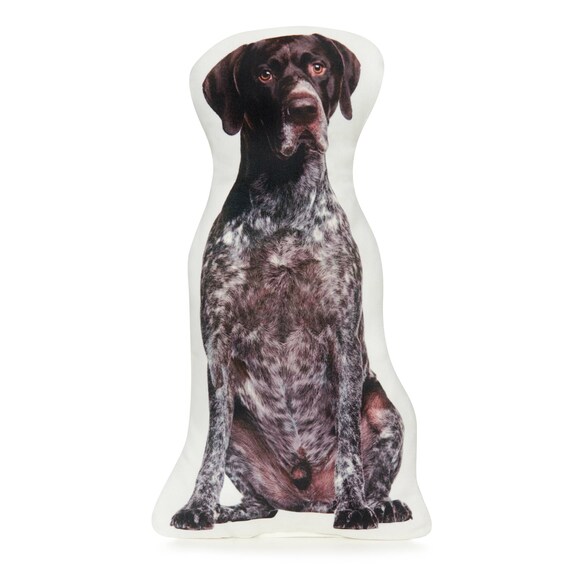 German Shorthaired Pointer Shorthair Pointer German Pointer Etsy