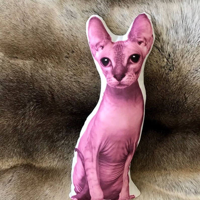 sphynx pillow