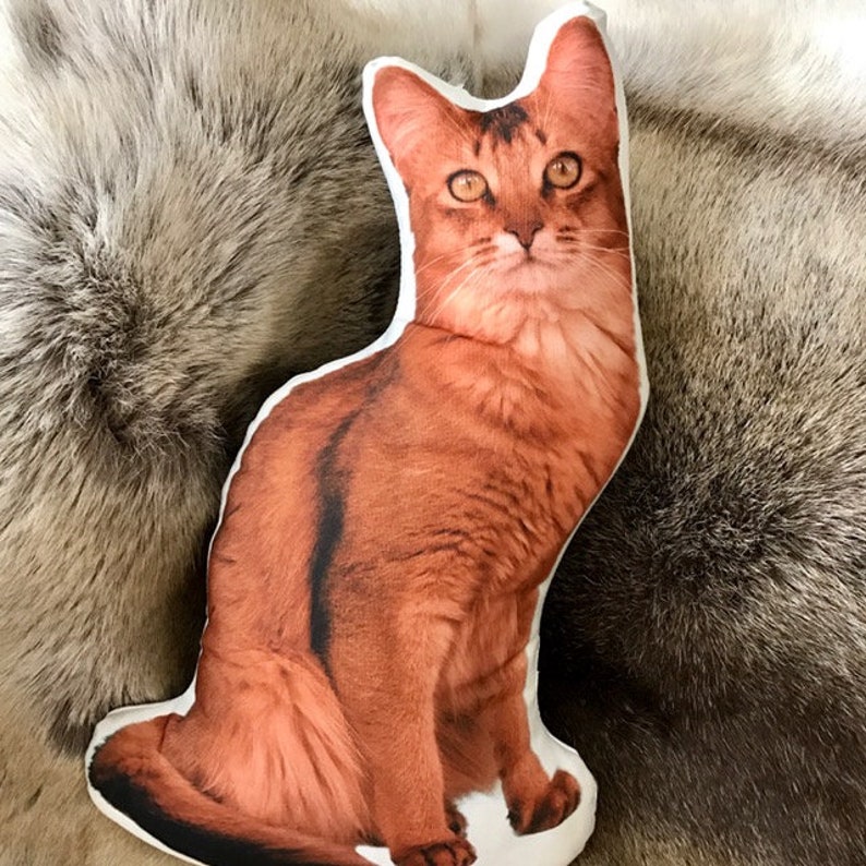 Somali Cat Decor Gift Pet Memorial Cat Throw Pillows Cat Etsy