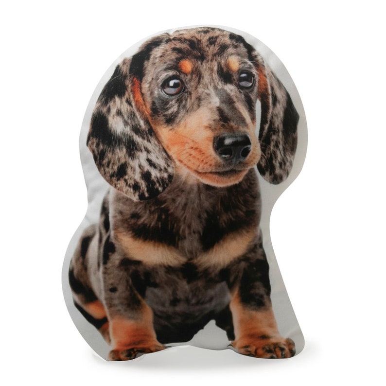 Dachshund Sausage Dog Sausage Dog Gifts Blue Merle Etsy
