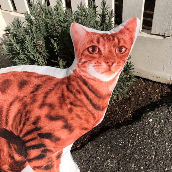 Bengal Cat Bengal Tiger Cat Lovers Cat 