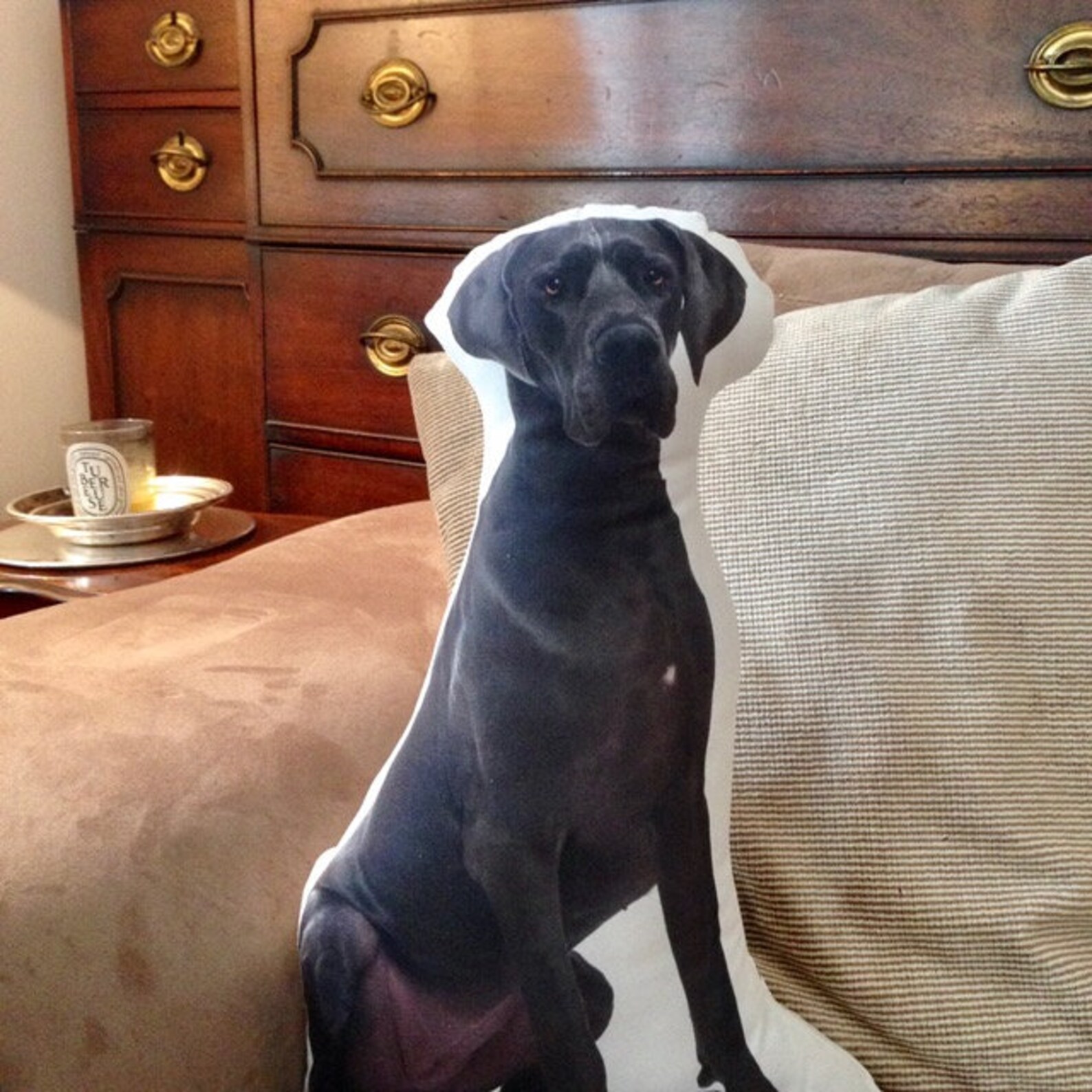 Great Dane Great Danes Great Dane Gifts Dog Lovers Dog - Etsy Australia