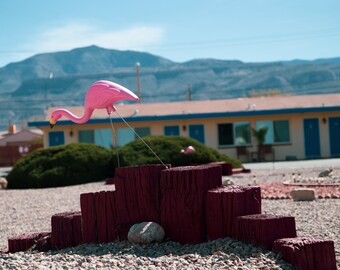 White Sands Motel, New Mexico Art Print