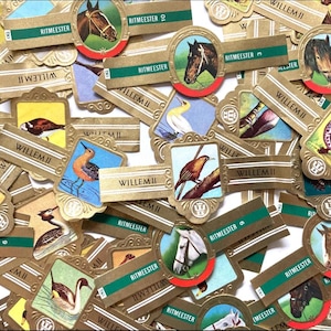 May include: A collection of vintage cigar bands featuring various illustrations of horses and birds. The bands are primarily gold with green or red accents, displaying the brand names Ritmeester and Willem II in clear, printed text across the paper.