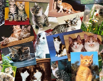 15 vintage unused cat postcards, retro kitten greeting cards from the 70s and 80s