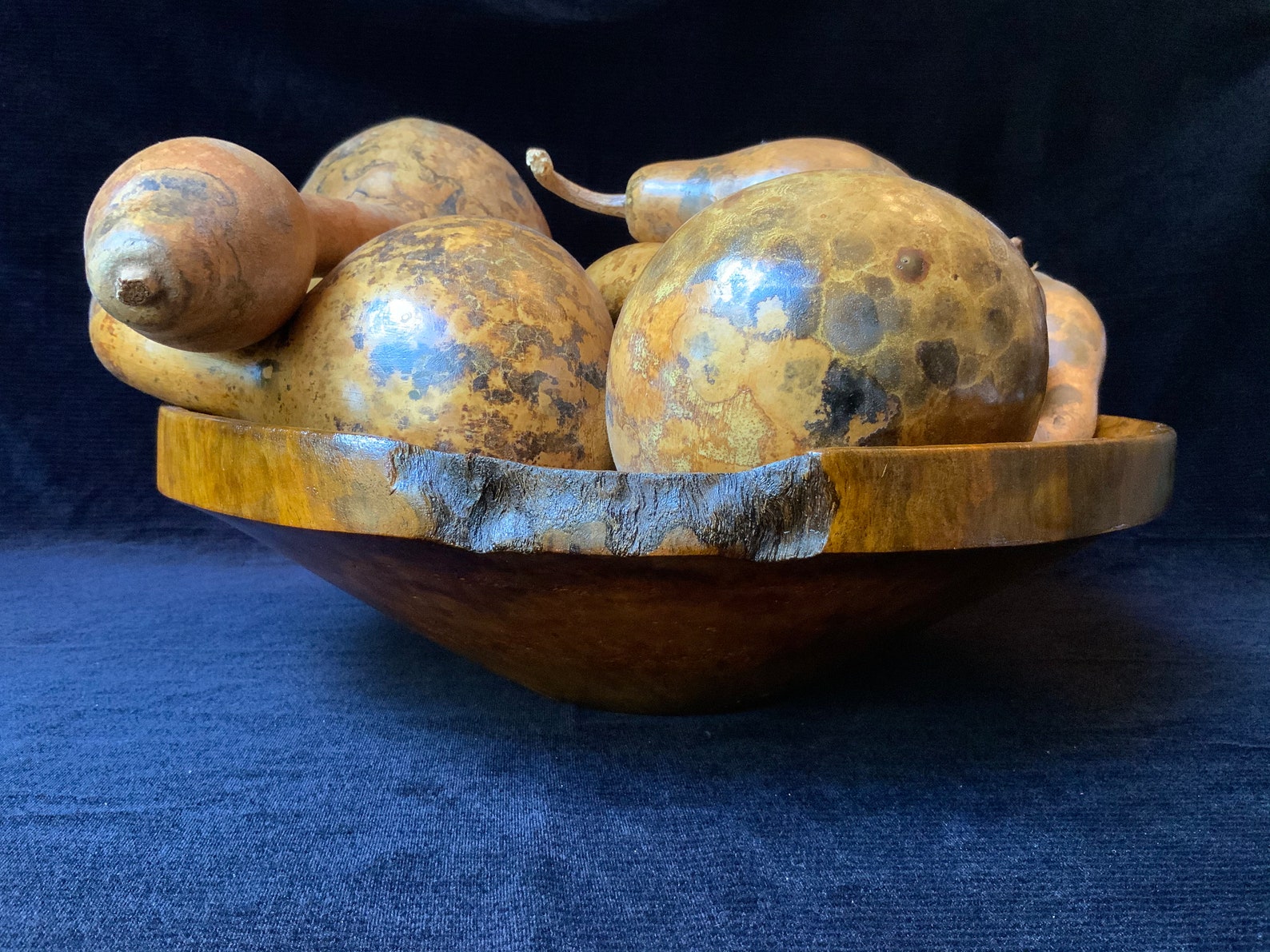 Chinese Tallow Bowl Hand Turned Chinese Tallow Wood Bowl Etsy