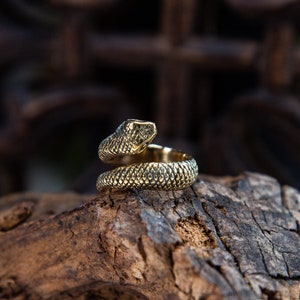 Snake Ring , Brass, Adjustable Snake Ring, Robust Ring, Antique Finish Black Ring Punk Lover Gift