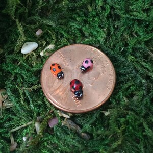 Miniatura Lady Bug Fairy Garden Accesorios, Escultura de terrario de bosque pintado a mano, Multicolores