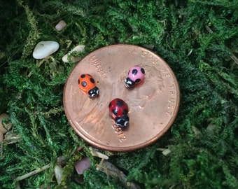 Può includere: Tre miniature di coccinelle, una rossa con punti neri, una arancione con punti neri e una rosa con punti neri, sono posizionate su un penny americano. Il penny è datato 2012 e ha le parole "Liberty" e "In God We Trust" incise su di esso.