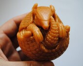 3D large Armadillo Soap - Mather day, Father's Day Gift, Kid, Children Soap