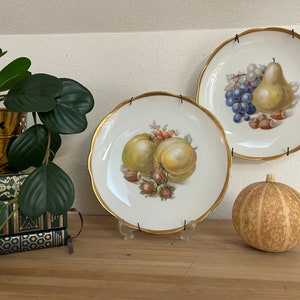 May include: Two decorative plates with gold trim, one featuring a pear and grapes, the other with two pears and hazelnuts. The plates are hanging on a wall with a pumpkin in the foreground.