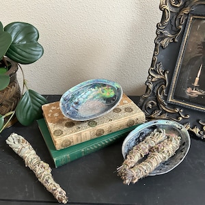 Abalone Shell Smudging, Mermaid Decor, Abalone Bowl, Smudge Bowl, Abalone Decor, Smudge Dish, Cottagecore Decor, Green Witch Decor, Beach