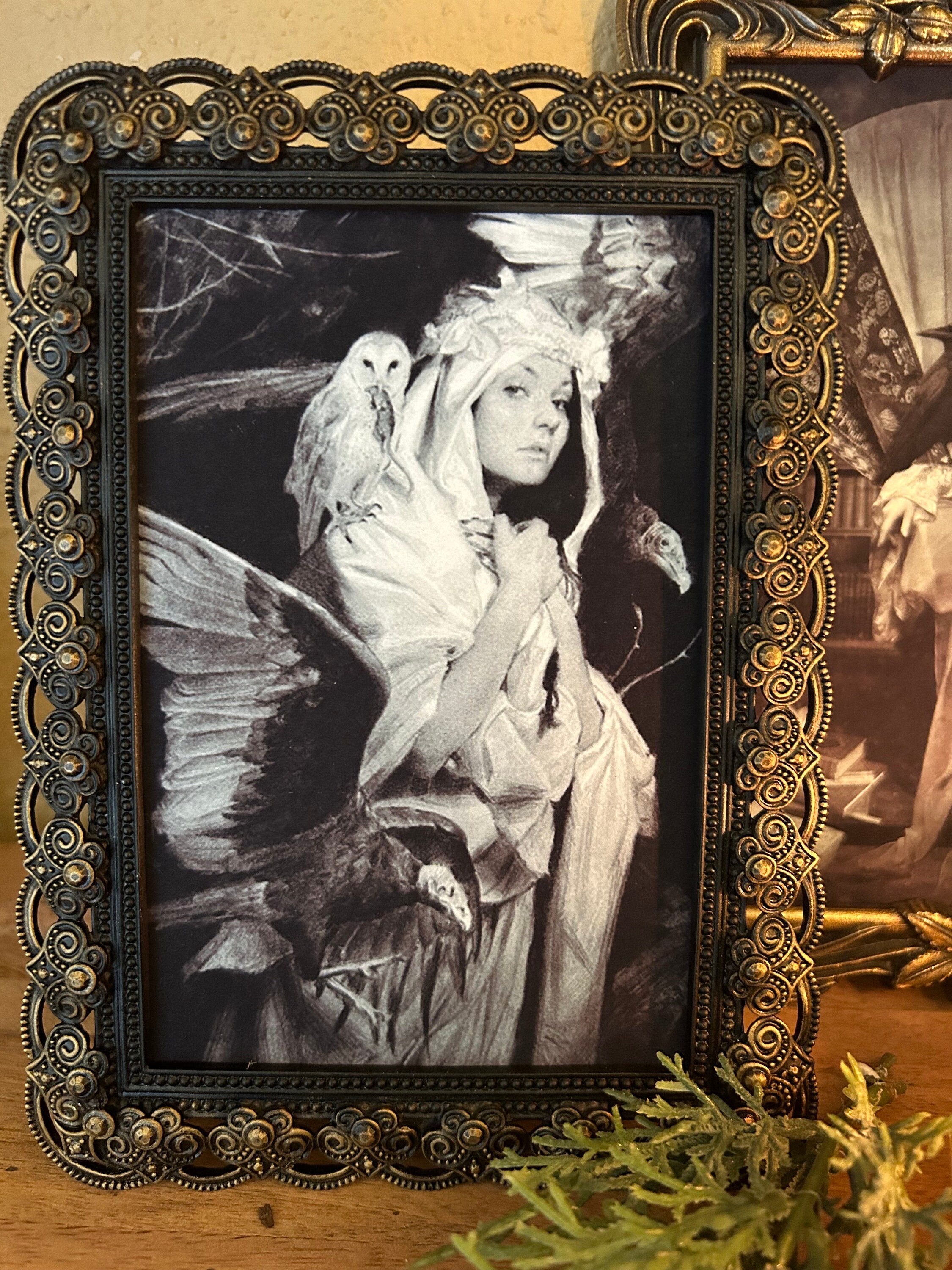 Ornate Frames, Vintage Frames, Vintage Framed Prints, Vintage Picture Frames, Goth Frames