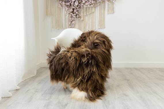 Real Icelandic Sheepskin Rug Scandinavian Home Decor Sofa Sheepskin throw Chair Cover Natural Sheep Skin Rugs Brown White #Iceland325