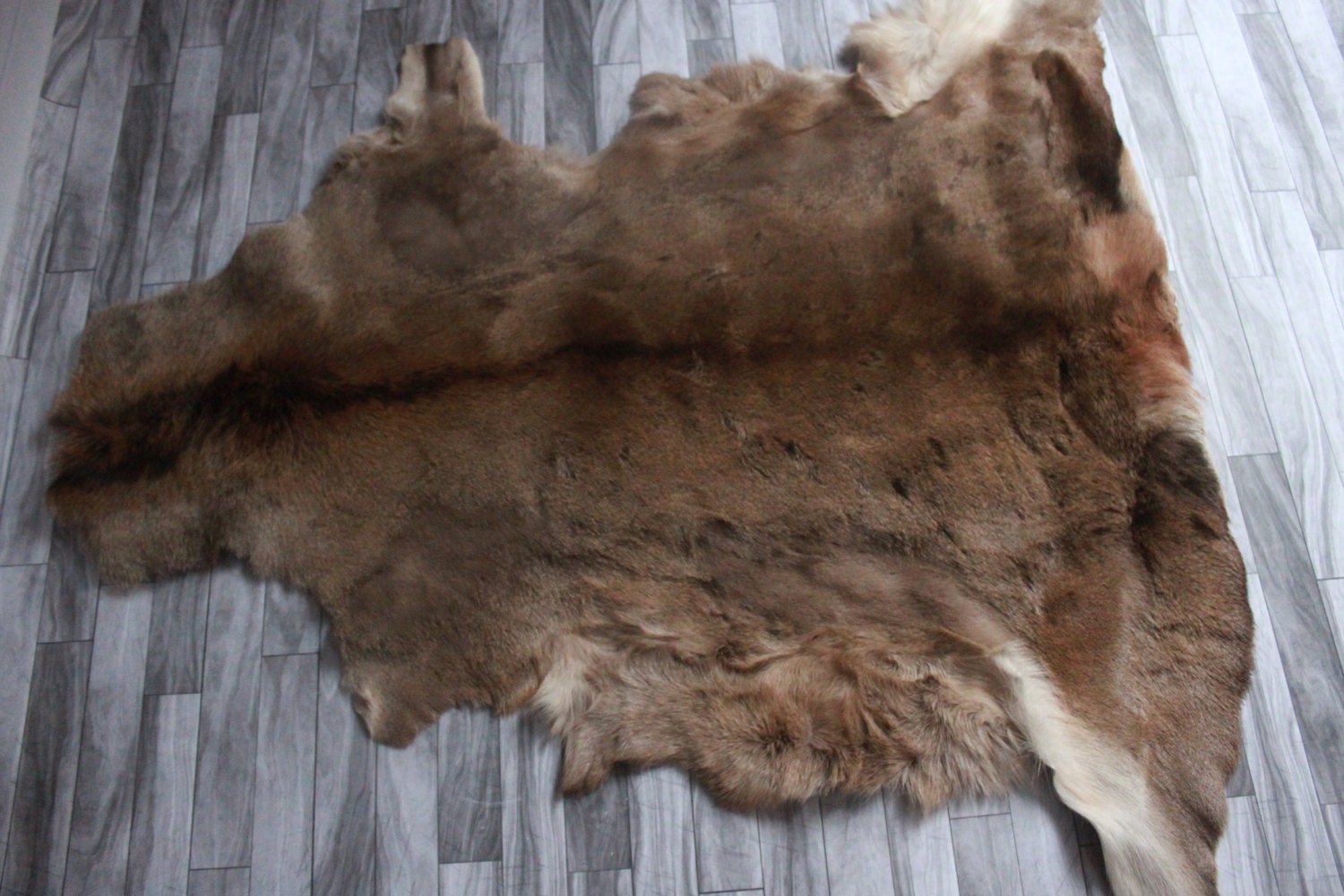 ON SALE Real Natural Deer Hide deer Rug Deer Skin Throw