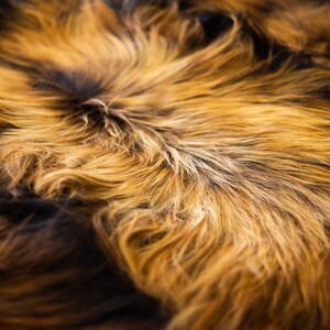 May include: Close-up of a soft, fluffy brown and black fur rug. The fur is long and thick, with a variety of shades of brown and black.
