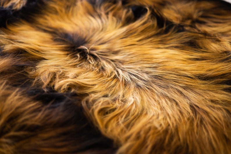 May include: Close-up of a soft, fluffy brown and black fur rug. The fur is long and thick, with a variety of shades of brown and black.