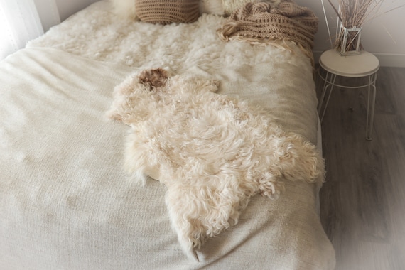 Real Sheepskin Rug Genuine Rare Mongolian Sheepskin Rus - Curly Fur Rug Scandinavian Sheep skin - Ivory White Curly Sheepskin #2Bohgot14